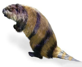Bumble Beaver