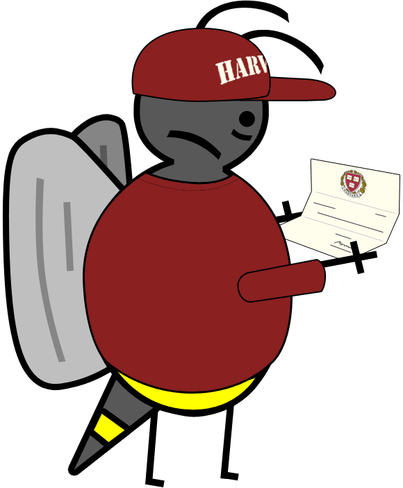 sad bee gets rejected from harvard